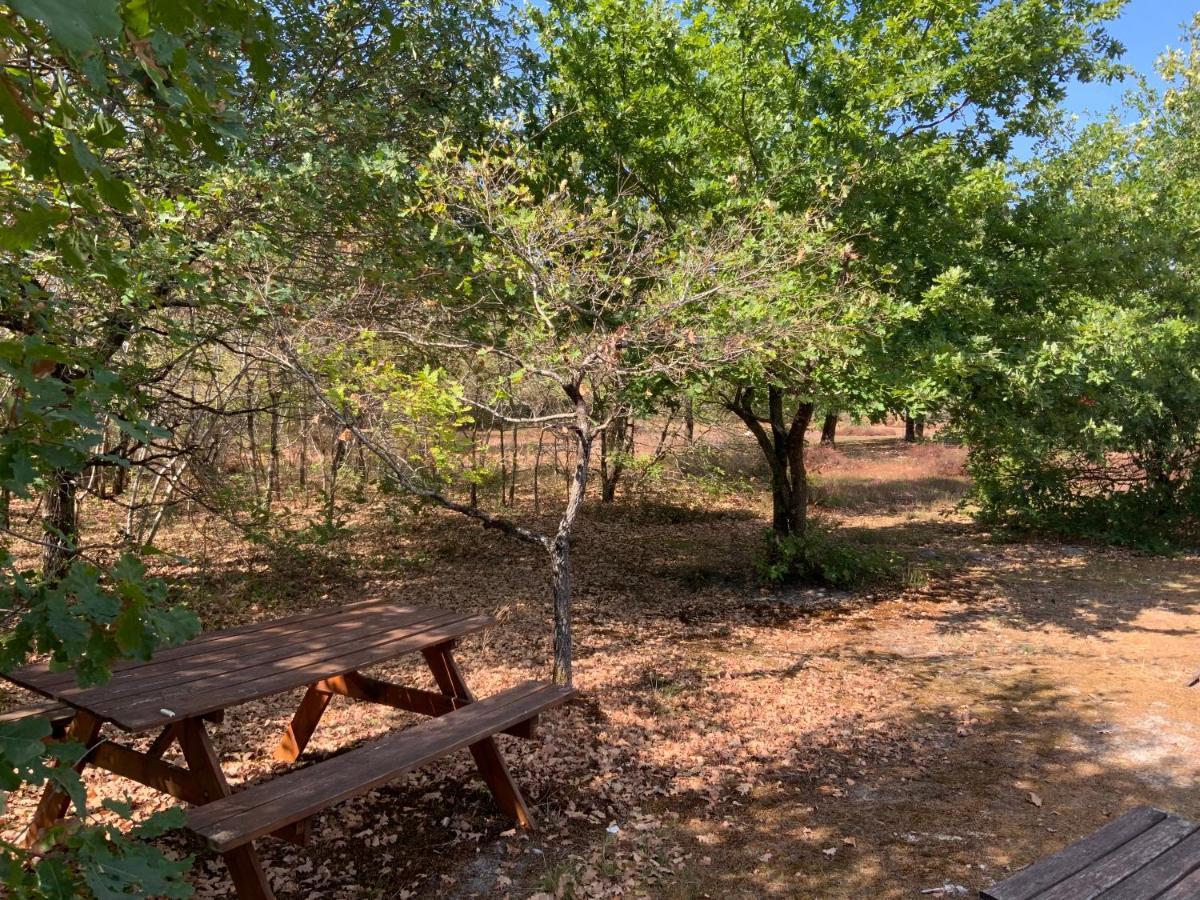 Bed and Breakfast Domaine De Labelo Commensacq Экстерьер фото
